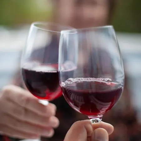 Maximus Apartament Rovinj